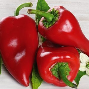 PIMIENTO PIQUILLO
