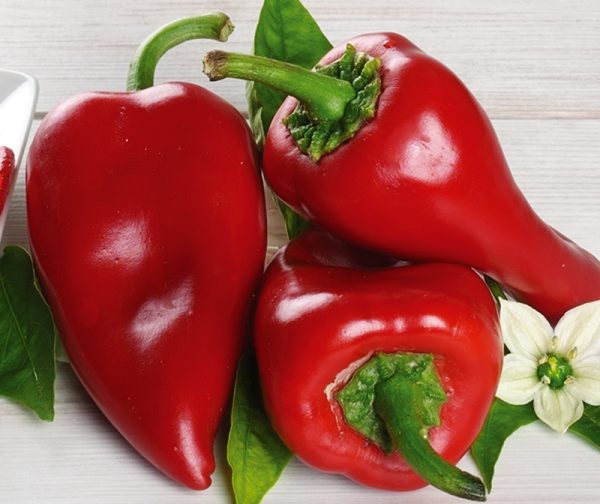 PIMIENTO PIQUILLO